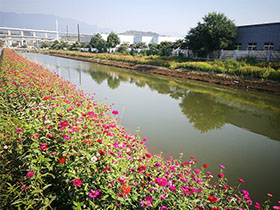 河道黑臭水體處理技術(shù)